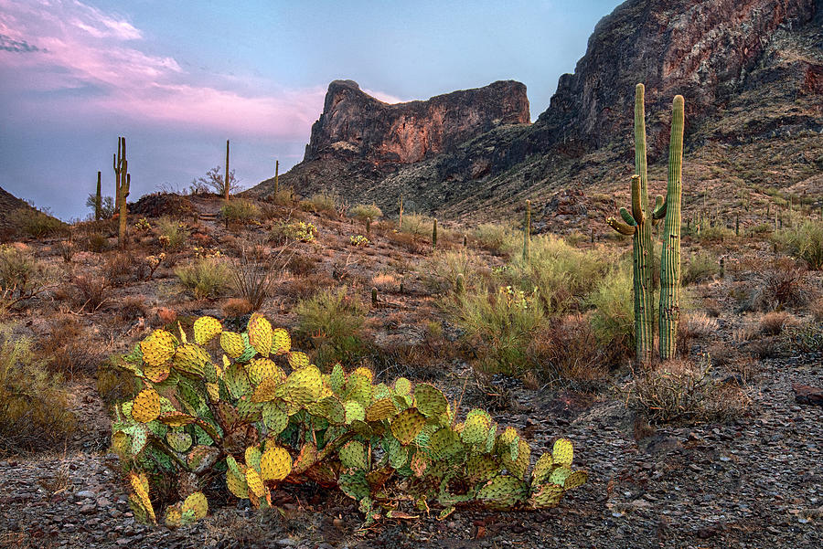 Picacho Peak Arizona Sunset Photograph by Dave Dilli