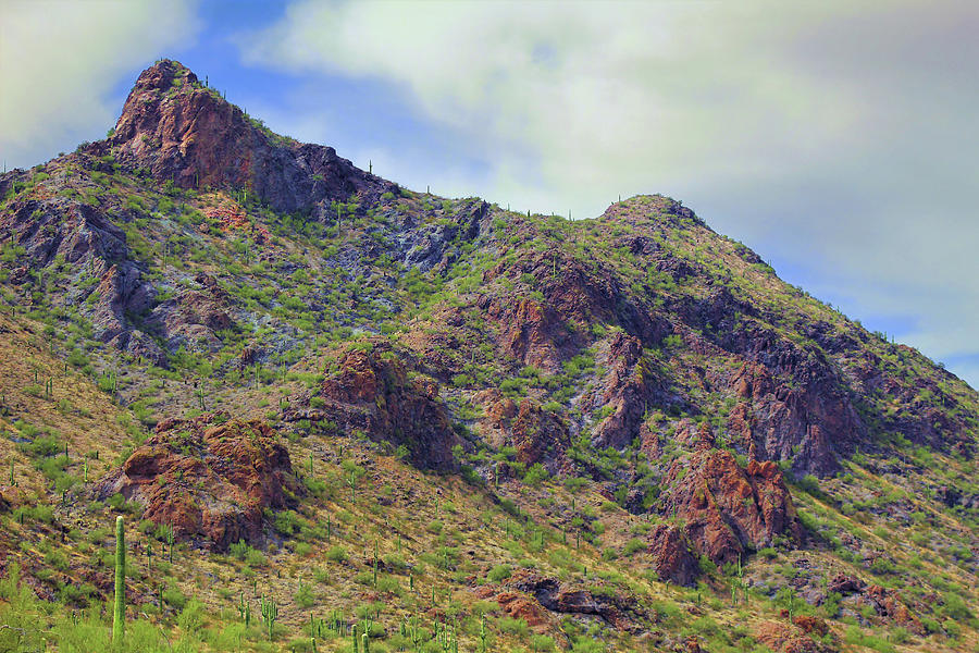 Picacho Peak Photograph by Jason Judd