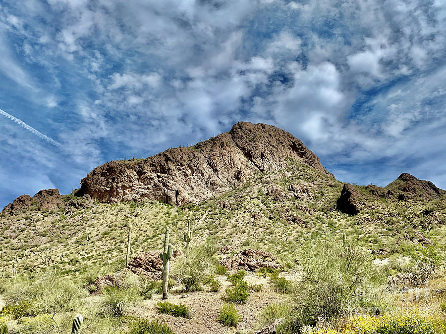 Picacho Photograph by Sean Griffin