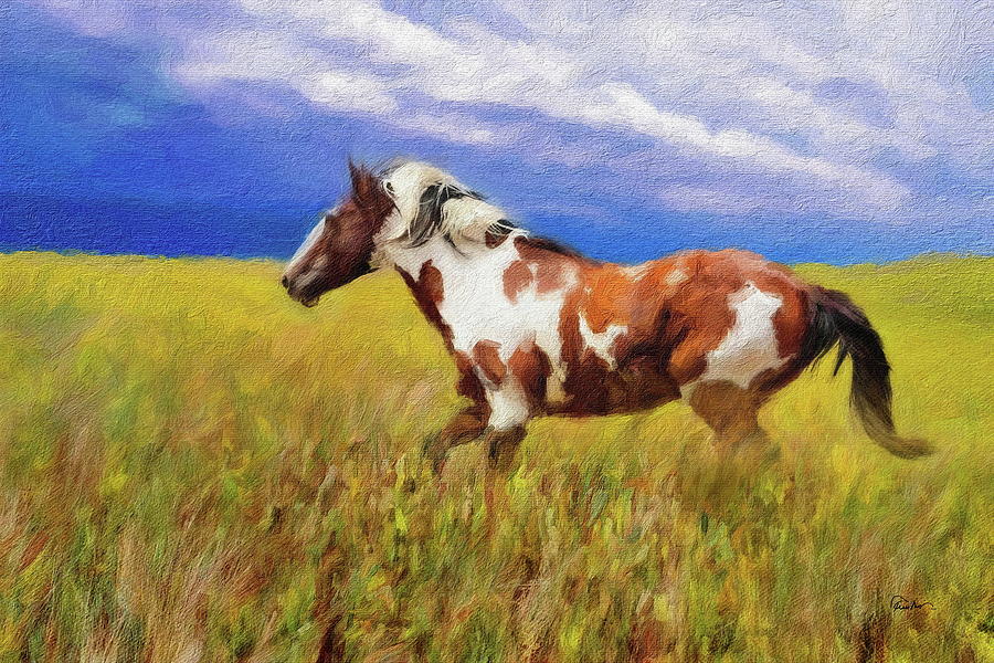 Picasso - Americans Famous Wild Mustang Digital Art by Russ Harris