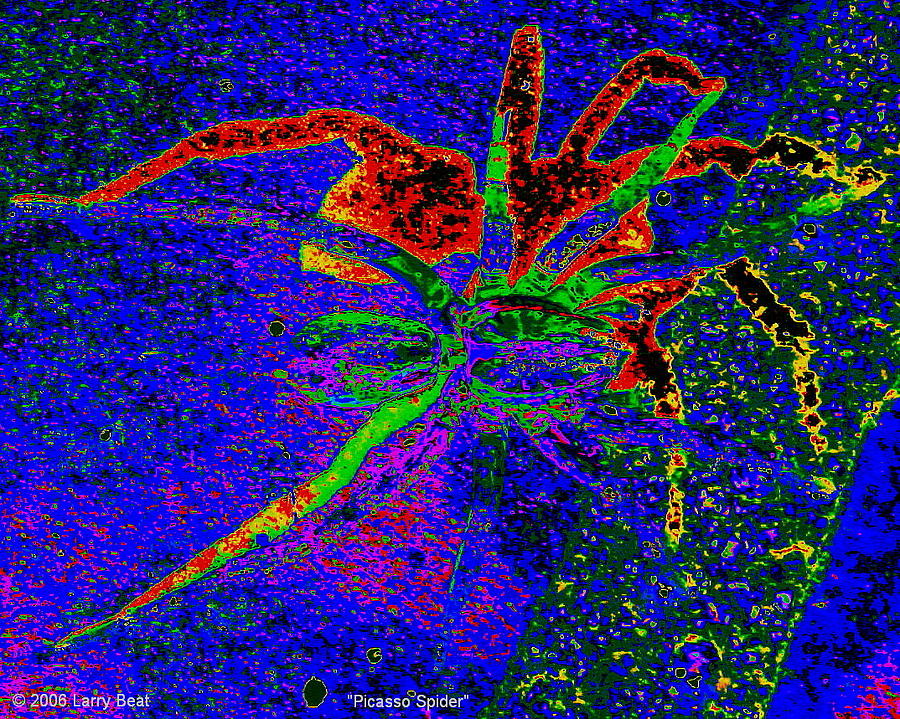 Picasso Spider Digital Art by Larry Beat