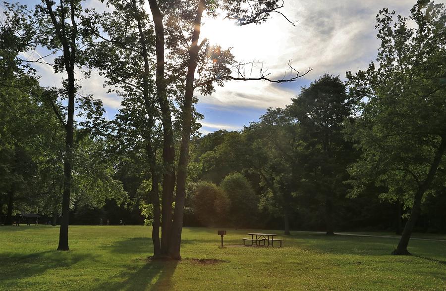 Picnic area in a rural city park Photograph by Douglas Sacha
