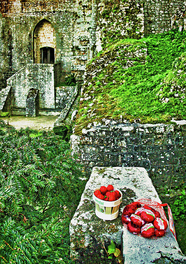 Picnic at Mont Saint Michel Photograph by Susan Maxwell Schmidt