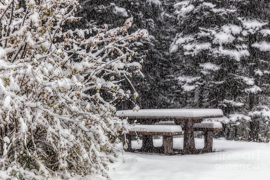 Picnic Table in the Snow Photograph by Lynn Sprowl