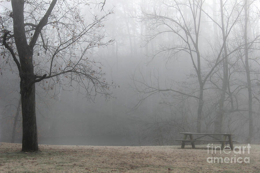 Winter Photograph - Picnic In A Cloud by Karen Adams Winter Photograph - Picnic In A Cloud by Karen Adams