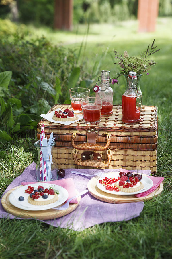 Picnic in park with berry pies and fresh drinks Photograph by Westend61