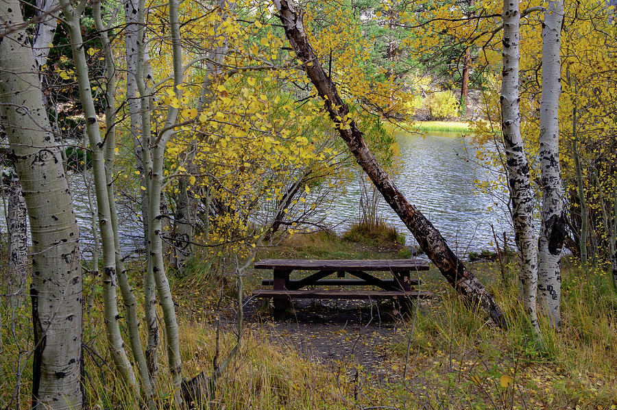 Picnic Area on Silver Lake Photograph by Bonnie Colgan