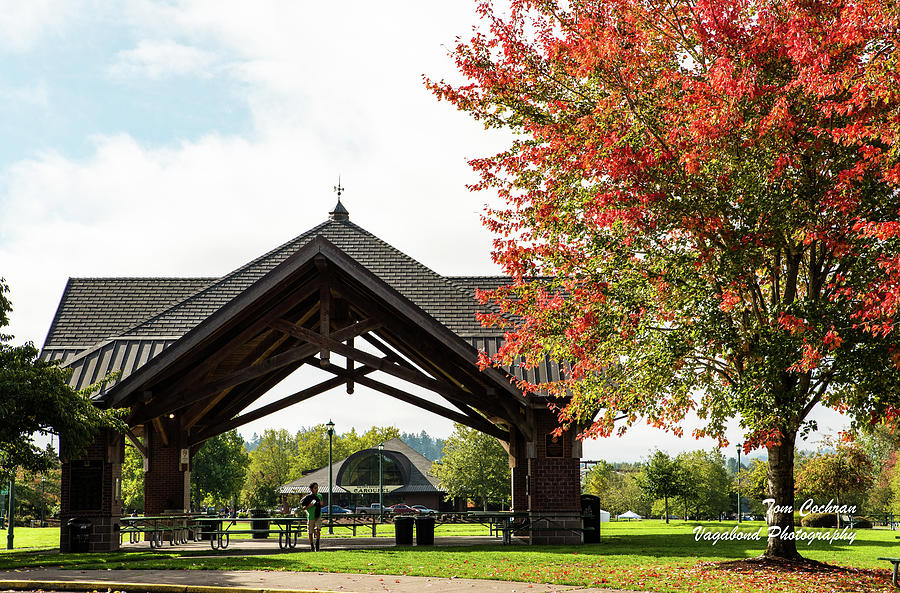 Picnic Shelter and Fall Maple in Salem Photograph by Tom Cochran