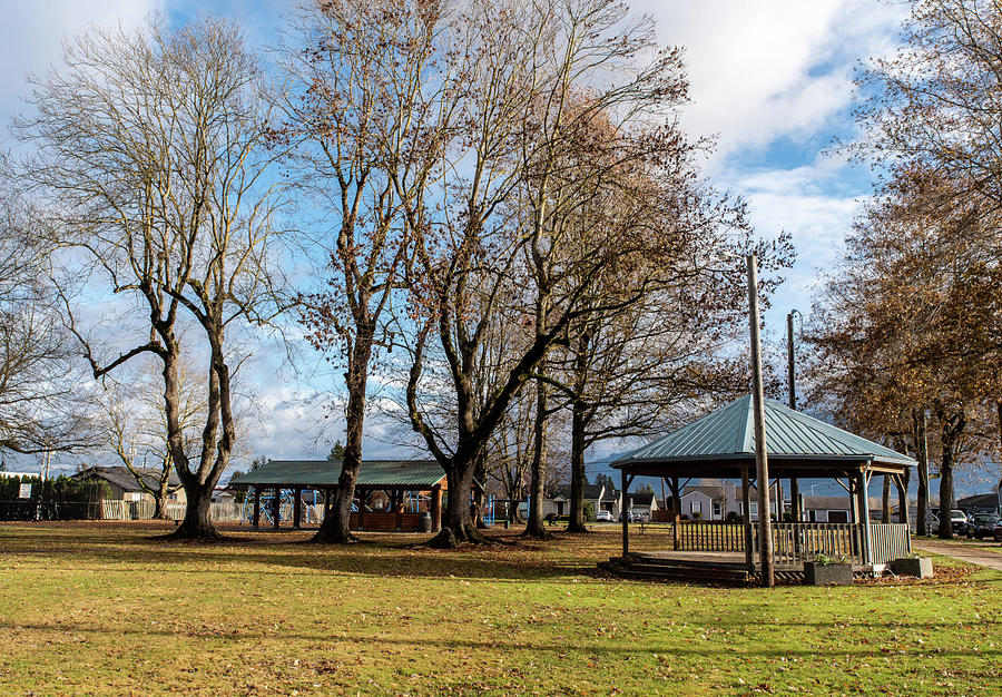 Picnic Shelter and Gazebo in Everson Park Photograph by Tom Cochran