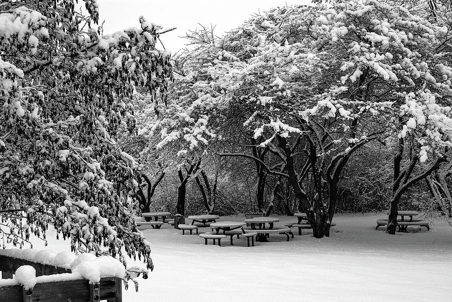 Picnic Under Snow Branches Photograph by Deb Beausoleil