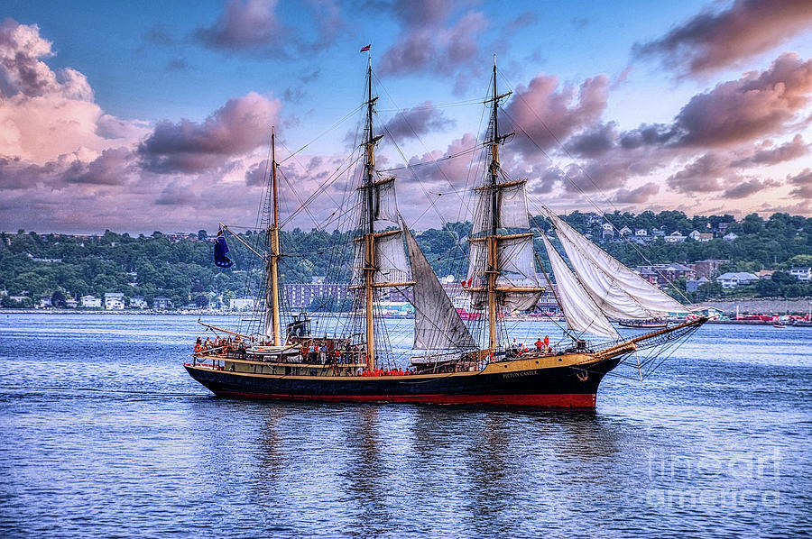 Picton Castle Tall Ship   Photograph by Elaine Manley