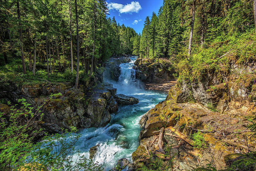 Picture Washington Usa Silver Falls Ohanapecosh Nature Waterfalls Forest Stone Forests Stones Digital Art By Nguyen Van