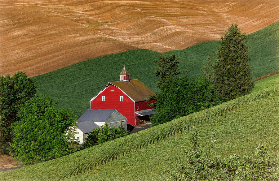 Picturesque Barn Catches the Morning  Photograph by Marcy Wielfaert