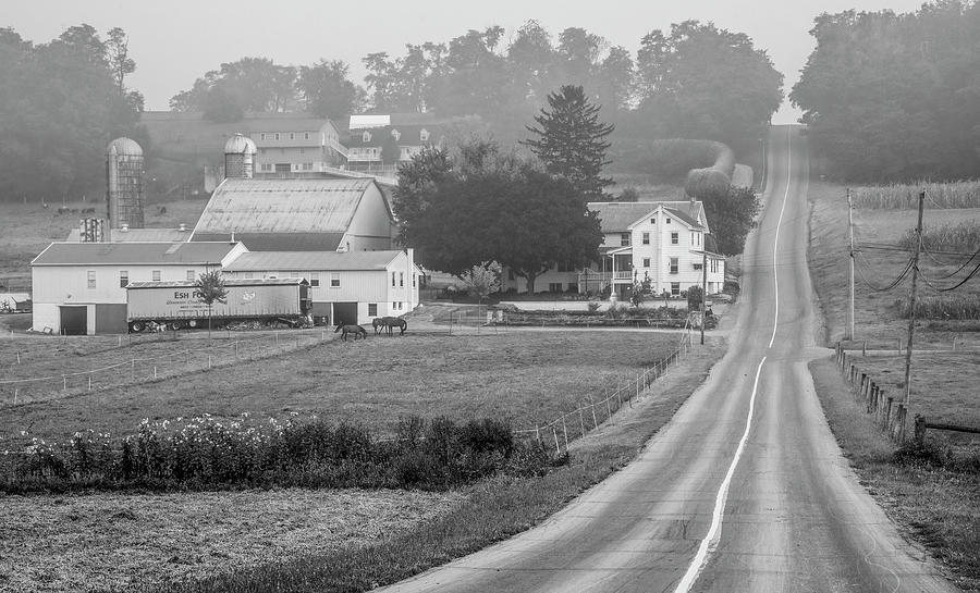 Picturesque in Lancaster County, Black and White Photograph by Marcy Wielfaert