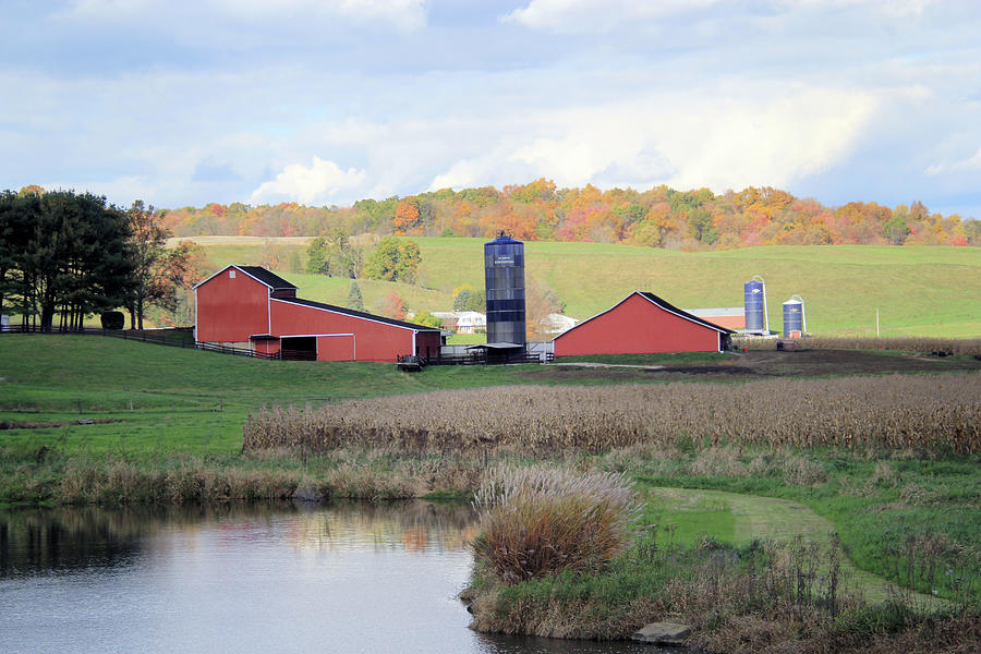 Picturesque Photograph by Linda Goodman - Fine Art America