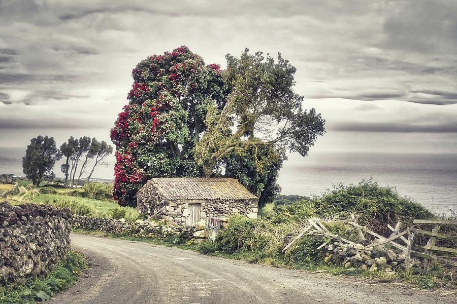 Picturesque Old Stone Shed Road View in Azores Countryside Photograph by Marco Sales