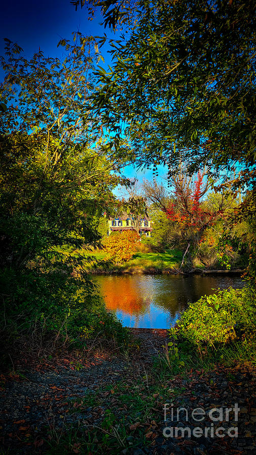Picturesque  by Shelly Crutchley