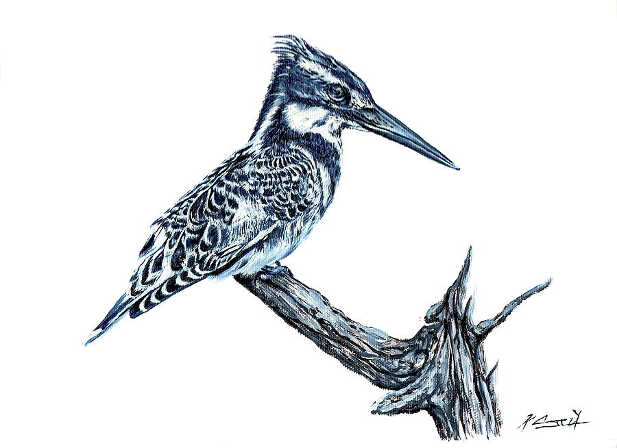 Pied Kingfisher Painting by Keith Carey