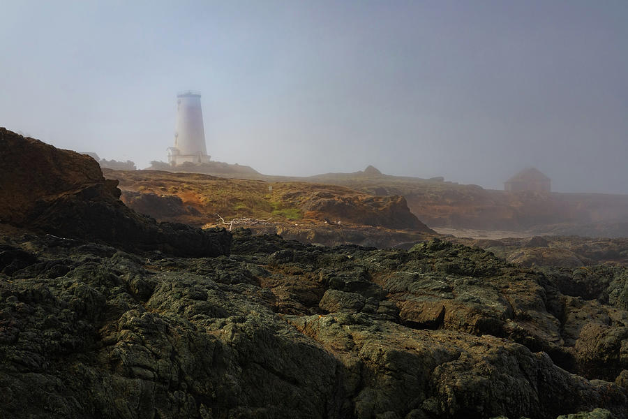 Piedras Blancas Lighthouse Peeking Out Of The Fog Photograph by Lars Mikkelsen