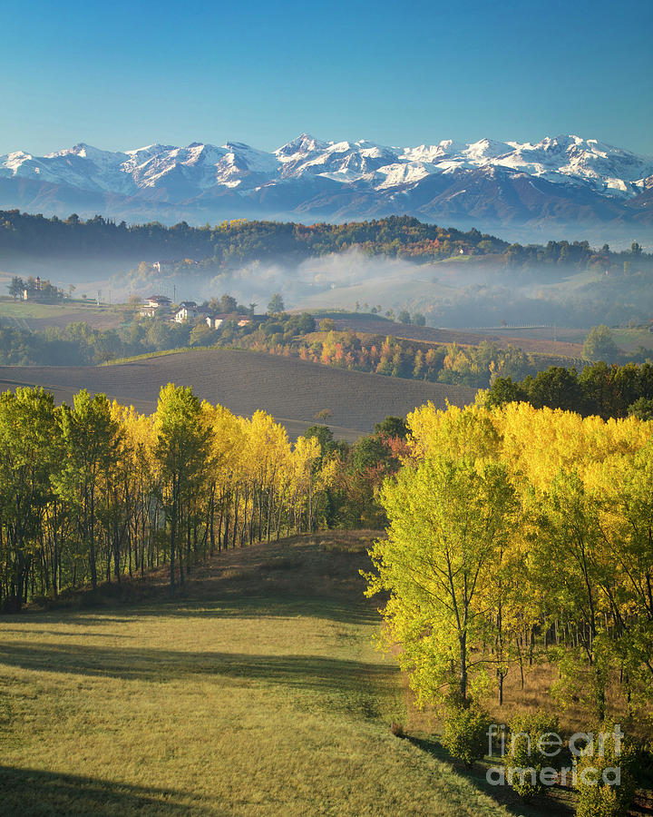 Piemonte - Fall Morning - Italy Photograph by Brian Jannsen