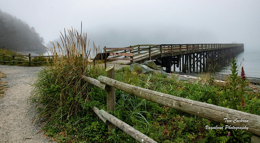 Pier and Trail in Fog Photograph by Tom Cochran