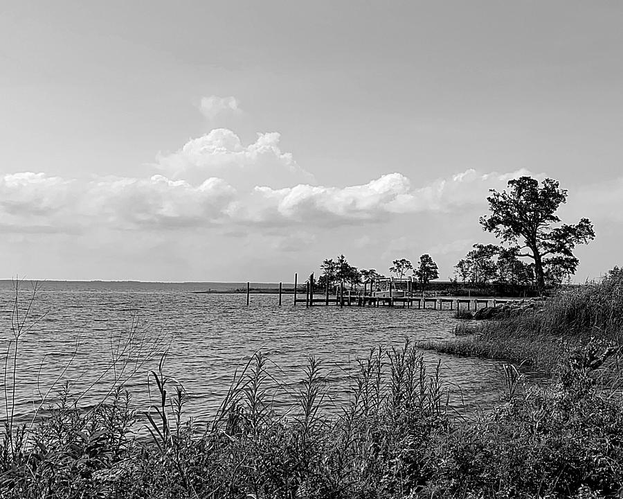 Pier Dreams BW Photograph by Lee Darnell