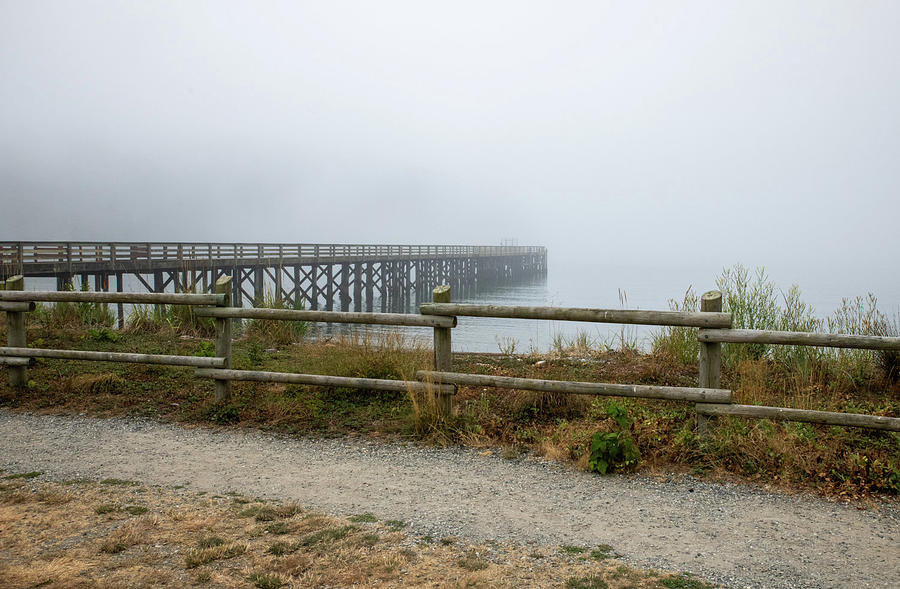 Pier in Fog at Bowman Bay Photograph by Tom Cochran