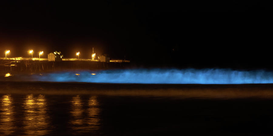 Pier Panorama at Night with Glowing Waves Photograph by Cliff Wassmann