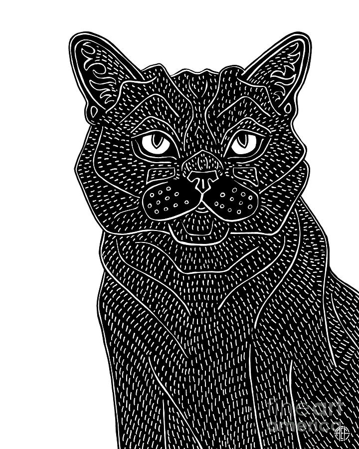 Pierce. Black Cat Ink  Drawing by Amy E Fraser