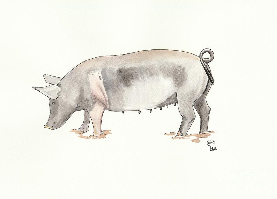 Pig Painting by Cami Lee