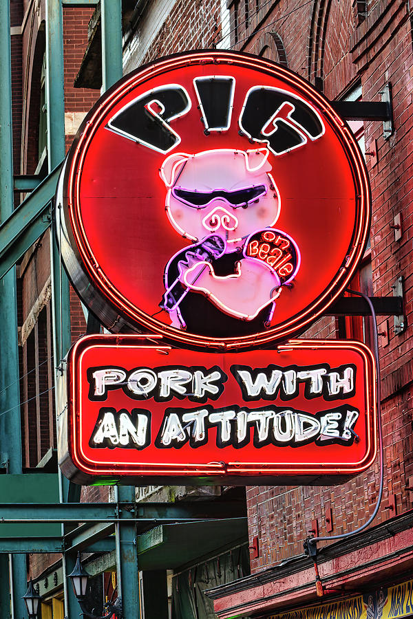 Pig Pork With Attitude Photograph