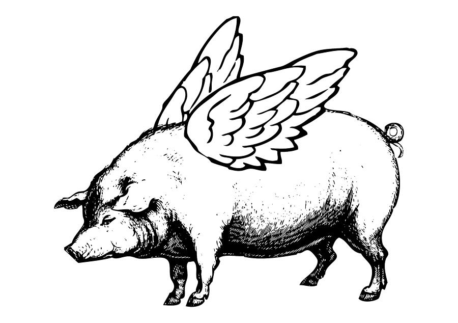 Pig with Wings - No. 1 Digital Art by Eclectic at Heart