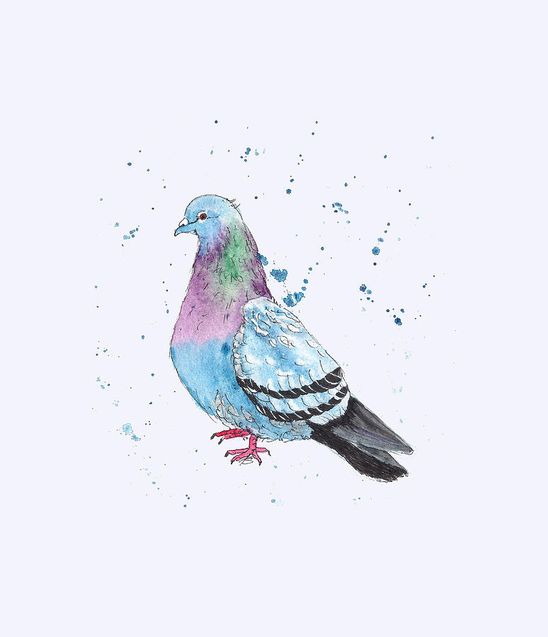 Pigeon 2 Painting by Petra Stephens