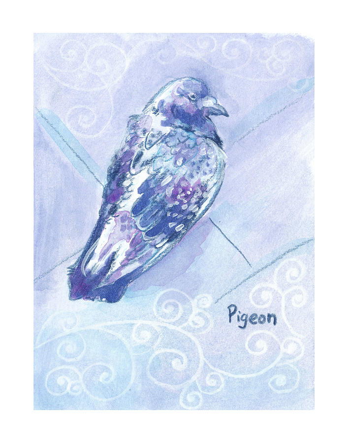 Pigeon 2 Zooly 2019 Drawing