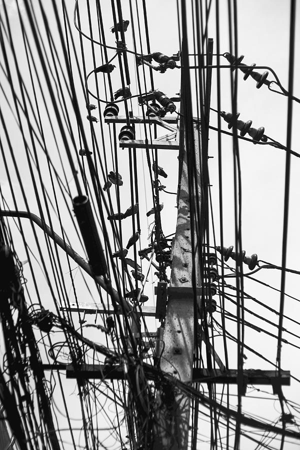 Pigeon Birds Hanging On Transmission Tower And Wires Photograph by IttoIlmatar