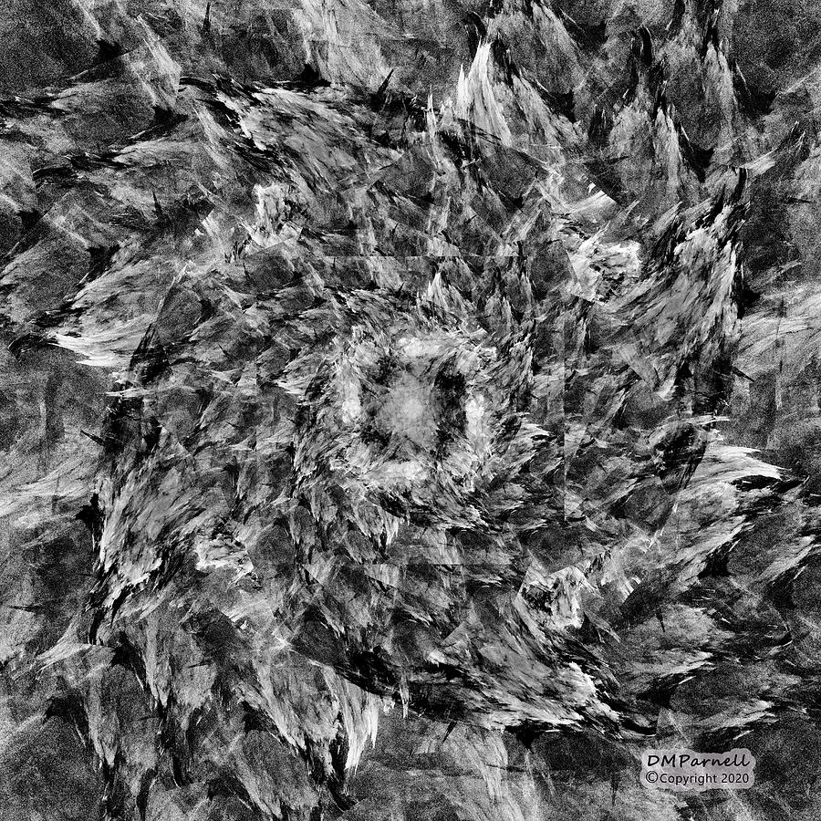 Pigeon Feathers BW Digital Art by Diane Parnell