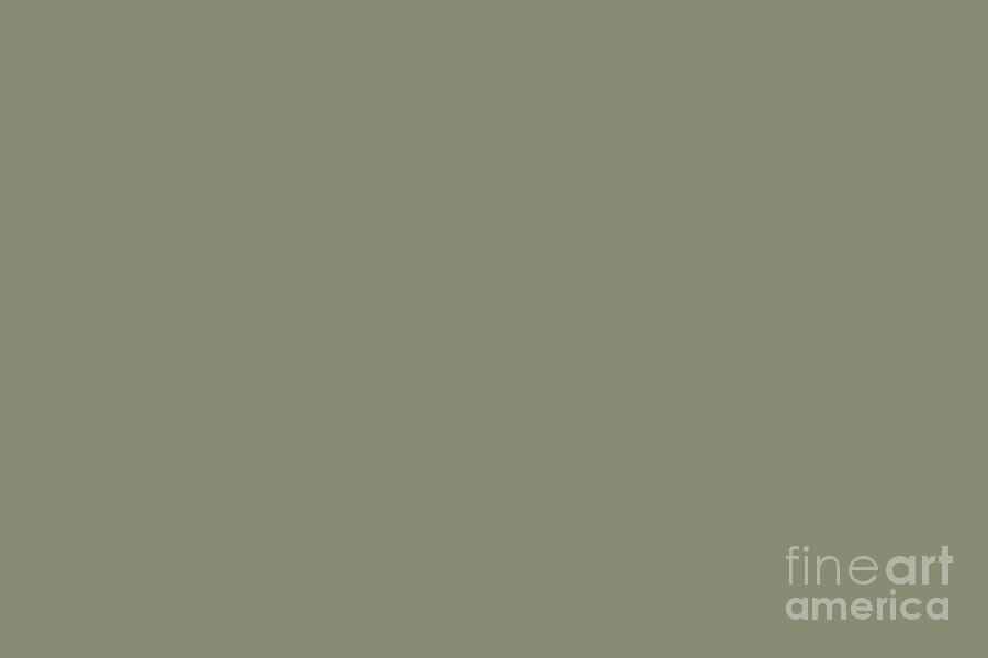 Pigeon Gray Green Solid Color Pairs Farrow and Ball 2021 Color of the Year Treron 292 Digital Art by PIPA Fine Art - Simply Solid