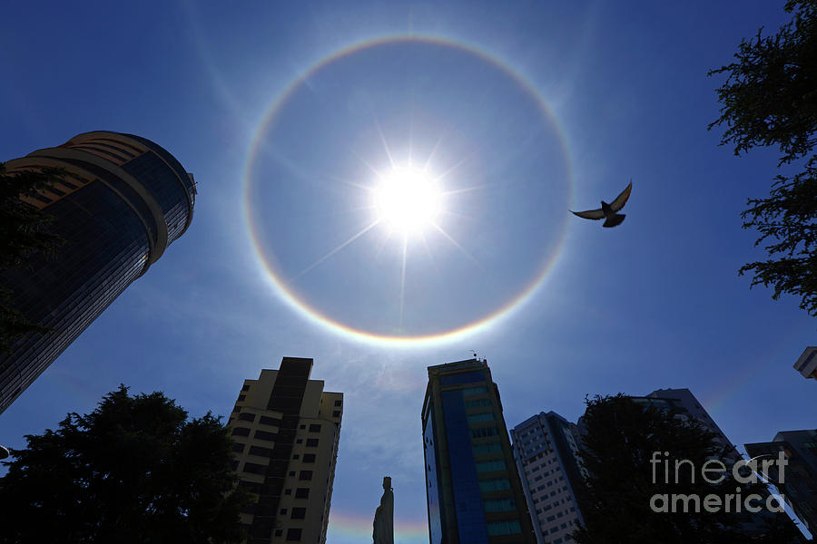 Pigeon photobombing a solar halo display Photograph by James Brunker