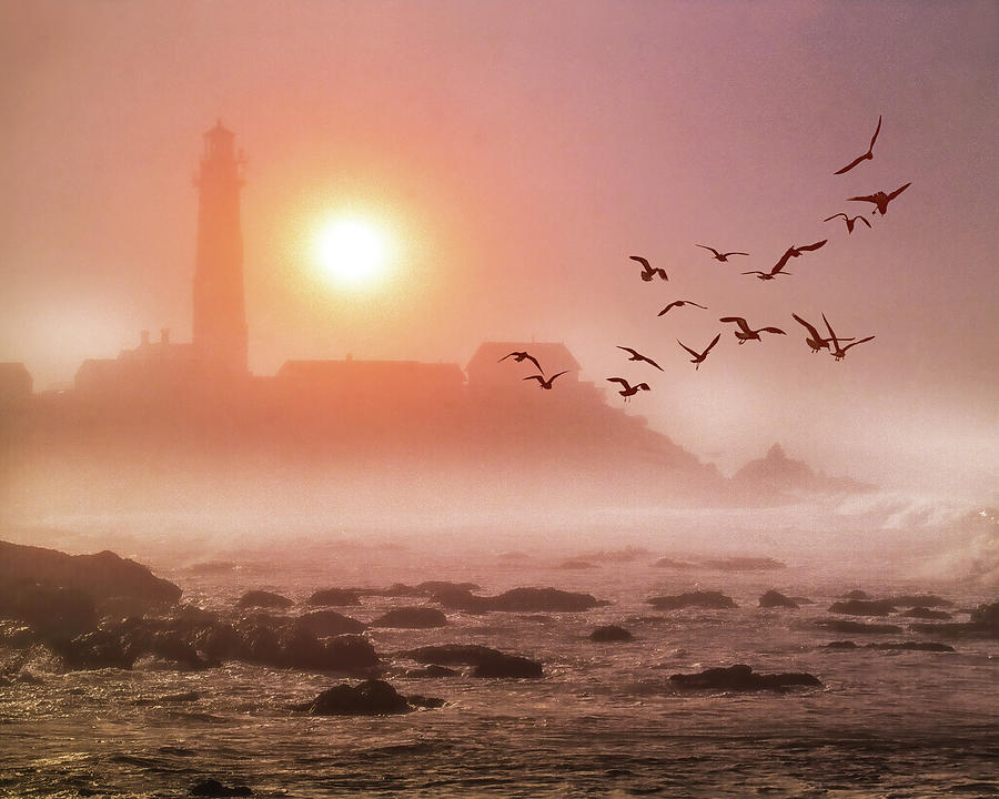 Pigeon Point and Foggy Morning, California Coast Photograph by Don Schimmel