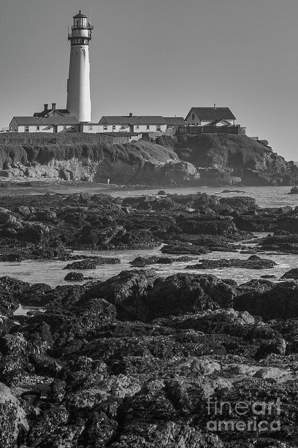 Pigeon Point Light House Photograph by Kimberly Blom-Roemer