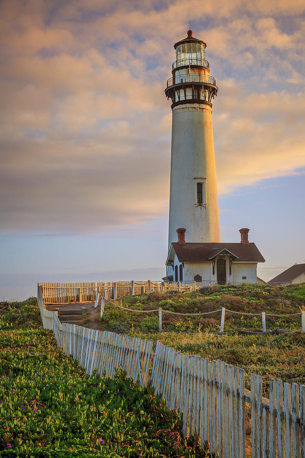 Pigeon Point Lighthouse Photograph by Adam Romanowicz