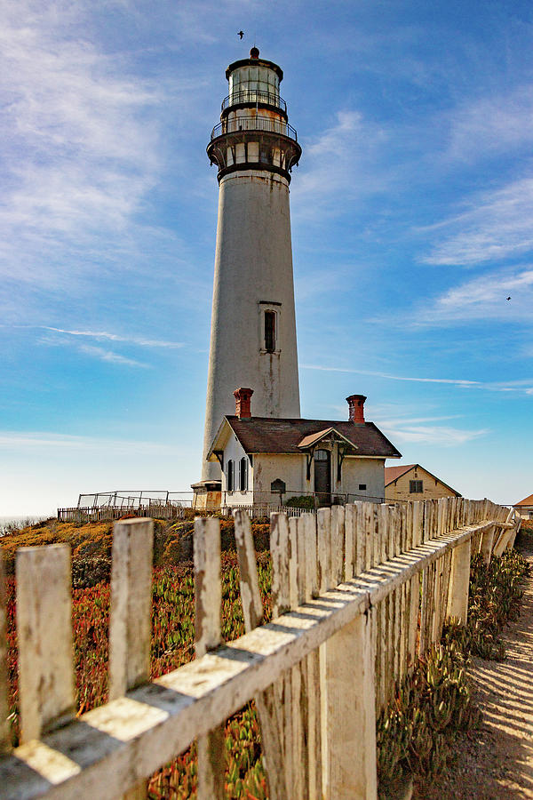 Pigeon Point Lighthouse Photograph by Bill Gallagher