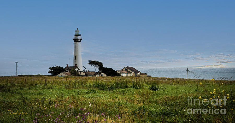 Pigeon Point Lighthouse Photograph by David Levin