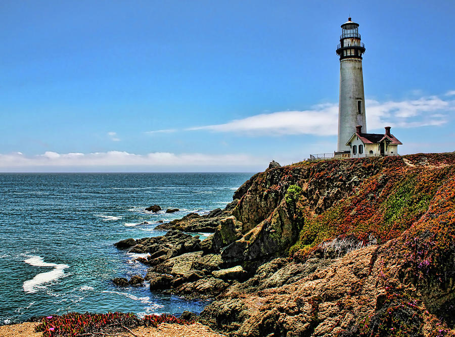 Pigeon Point Lighthouse Photograph by Judy Vincent