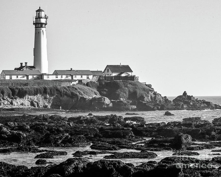 Pigeon Point Lighthouse Photograph by Kimberly Blom-Roemer