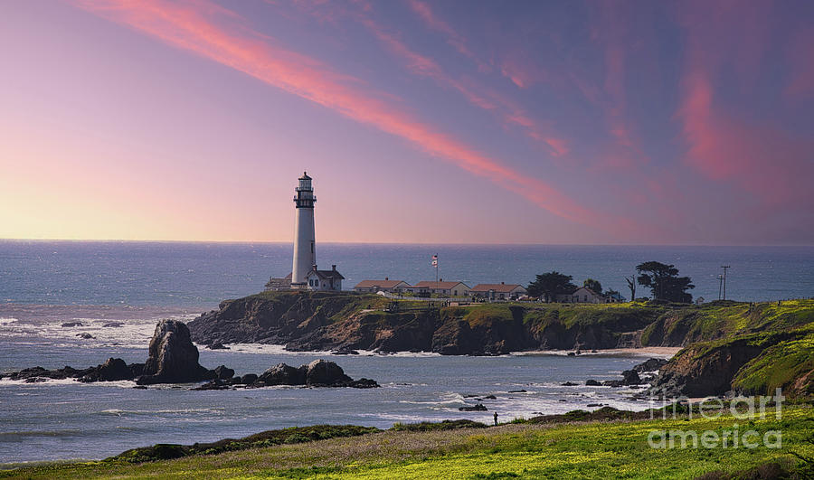 Pigeon Point Lighthouse March 2022 California  Photograph by Chuck Kuhn