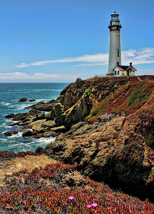 Pigeon Point Lighthouse Vertical Photograph by Judy Vincent