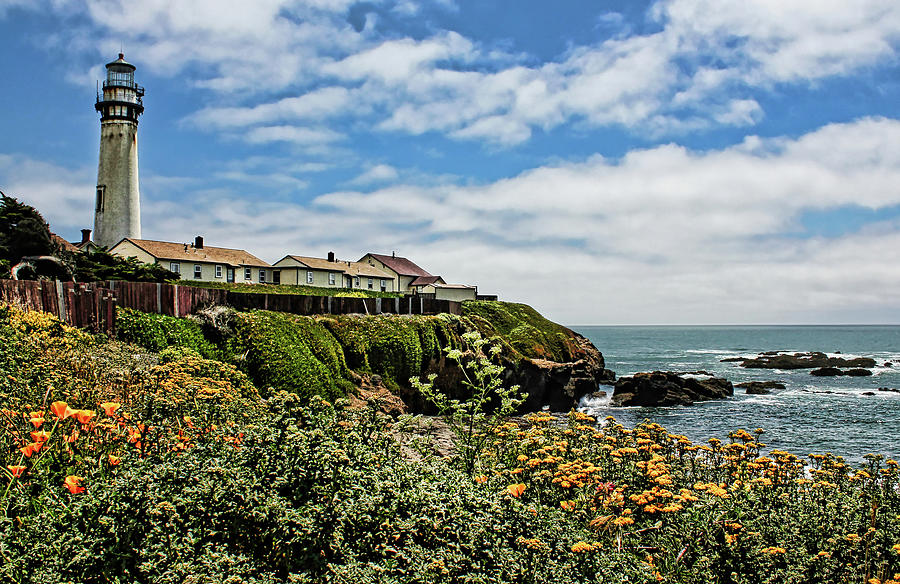 Pigeon Point Lighthouse With Poppies Photograph by Judy Vincent