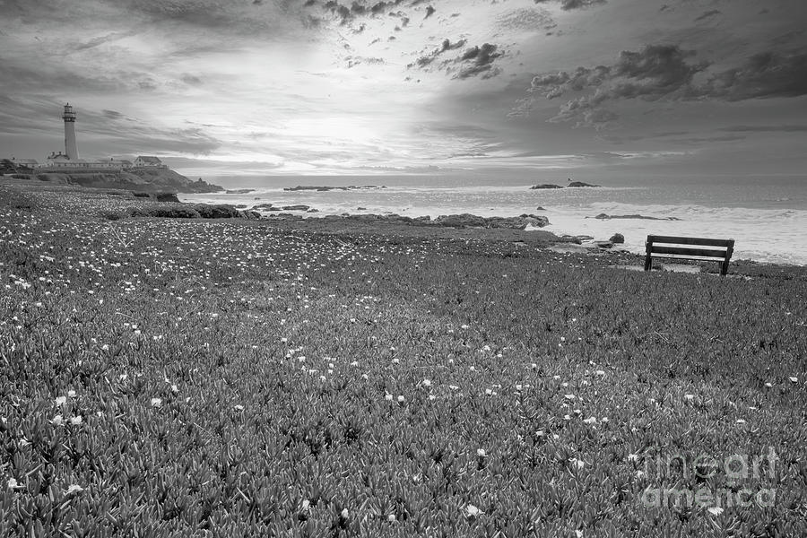 San Francisco Photograph - Pigeon Pt Lighthouse BW Pacific Ocean California   by Chuck Kuhn