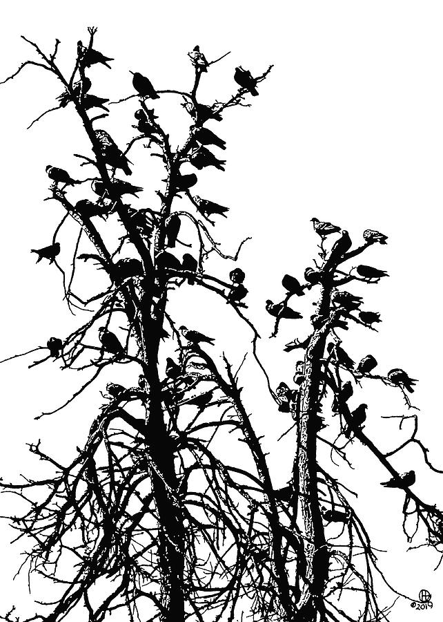 Pigeon Tree Digital Art by Gary Olsen-Hasek
